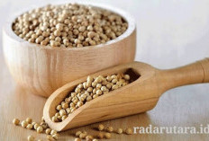 Kolestrol dan Gula Darah Bisa Turun dengan Air Rendaman Biji Ketumbar, Begini Cara Bikinnya