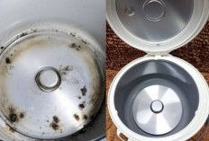 4 Cara Mudah Menghilangkan Noda Gosong di Rice Cooker, Bisa Kinclong Seperti Baru 