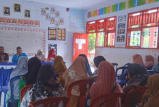 Komite SDN 223 BU Tegaskan Iuran Rp 250 Ribu Bukan Inisiatif Sekolah