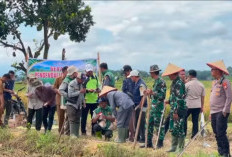 Panen Raya di Sumber Makmur, Kodim 0428/Mukomuko Perkuat Ketahanan Pangan