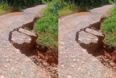 Belum Ada Aksi Nyata, Longsor Jalan Tanjung Alai-Jabi Makin Mengkhawatirkan
