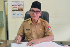 Perda Pilkades Ditarget Tuntas Akhir Agustus, DPMD Mukomuko Kebut Persiapan