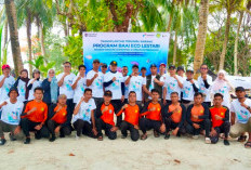 Jaga Ekosistem Pulau Tikus, Pertamina Sumbagsel Taman 760 Bibit Terumbu Karang