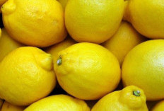 Cukup Siapkan Kopi dan Lemon, Kamu Bisa Mencicipi Kopi Kekinian di Rumah