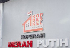 Dorong Sinergi Manager dan Pengurus Agar Kopdes Tak Jadi Pesaing Usaha Warga