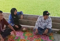 Stok Obat Hama Padi Dipastikan Aman, Petani Diminta Tenang