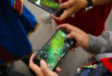 Peluang untuk Dapat Uang Tambahan, Cukup Gunakan Handphone Saja