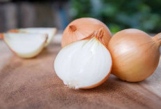 5 Bahan Dapur Ini Tidak Boleh Disimpan di Kulkas, Kenapa?