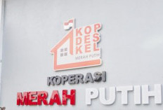 Kopdes Merah Putih Tak Langsung Dilepas, PT Agrinas Pegang Kendali Selama 2 Tahun