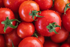 Selain Semangka, Ini Buah yang Mengandung Banyak Air