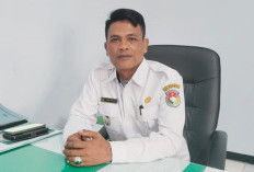 Bendera Belum Terpasang, Camat XIV Koto Ajak Warga Hormati Kemerdekaan
