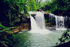 Pesona Keindahan Air Terjun Pacitan, Objek Wisata yang Wajib Dikunjungi Jika Jalan-jalan ke Bengkulu