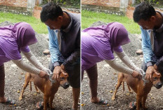 Hewan Peliharaan Jadi Perhatian, Distan Mukomuko Gencarkan Pencegahan Rabies