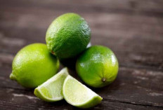 Bibir Hitam Karena Merokok, Cukup Usapkan Jeruk Nipis dan Rasakan Manfaatnya