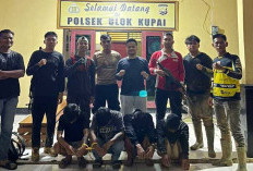 Polisi Tangkap 4 Terduga Pelaku Pengeroyokan di Napal Putih 