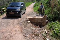 Jalan Provinsi Kuala Langi–Talang Baru–Dusun Raja Memprihatinkan, Kades Desak Perbaikan 