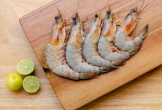 Catat, Ini 8 Barang yang Dilarang untuk Dibawa ke dalam Kabin Pesawat, Paling Banyak Malah Makanan