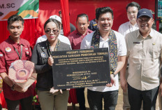 Tinjau Rafflesia Kemumu, Utusan Presiden: Bengkulu Utara Terkenal Hingga Mancanegara