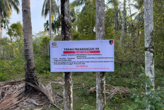 Pulihkan Keuangan Negara, 2 Bidang Tanah Eks Kabag Kesekretariatan RKSJ Soeprapto Disita