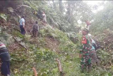 TNI Segera Eksekusi Rekonstruksi Jembatan Gantung Kualalangi