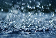 Hampir Selalu DIbaca Saat Turun Hujan, Ini Arti Doa Allahumma Shoyyiban Nafi'an