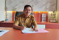 Program Replanting Sawit 2026 Diusulkan 750 Hektare