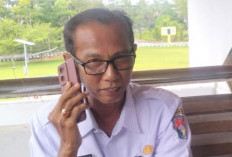 Stok Pangan Aman Harga Stabil, Pemkab Mukomuko Belum Perlu Operasi Pasar