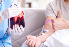 Jangan Di Anggap Sepele, Kenali Manfaat Donor Darah Bagi Kesehatan Tubuh Dan Bagi Pandangan Islam