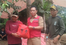 Ringankan Beban Korban Kebakaran, Pemkab Bengkulu Utara Salurkan Bantuan