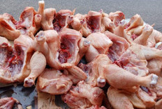 Makanan Mengandung Kolagen Tinggi yang Bisa Membuat Awet Muda