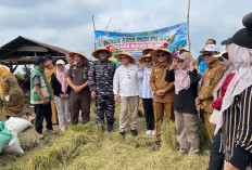 Dorong Produktivitas Petani, BI Bengkulu Salurkan Bantuan Alsintan