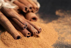 Wajib Coba, Masker dari Bahan Alami untuk Wajah Berjerawat, Auto Kempes