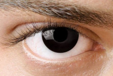 Tips Mudah Menjaga Kesehatan Mata agar Tetap Sehat hingga Usia Lanjut