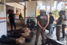 Nongkrong Saat Jam Sekolah, Pelajar Terjaring Razia Satpol PP
