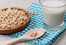 Berbagai Manfaat Kacang Kedelai Bagi Kesehatan Tubuh, Bagus untuk Kaum Wanita