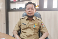 DBH Sawit Anjlok, Pembangunan Jalan Mukomuko Terancam Lumpuh