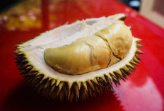 Bukan Cokelat, Namun Kamu Bisa Membuat Selai Durian yang Manis, Lembut, dan Lezat untuk Olesan Roti