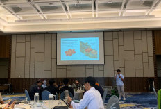 MapBiomas Berikan Gambaran Tutupan Lahan di Indonesia
