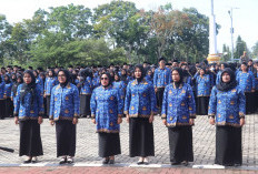 PPPK Harus Terima Kenyataan, Jabatan Struktural Bukan Jalur Kariernya