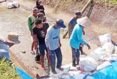 Saluran Induk BPS 7 Rawa Mulya Kembali Normal, Sawah Warga Terhindar dari Kekeringan