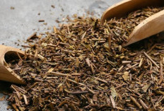 Mengenal Hojicha, Teh Asal Jepang yang Mulai Populer di Indonesia