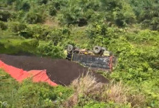 Truk Muatan Inti Kelapa Sawit Terguling di Tanjakan Mumbang, Sopir Selamat