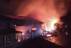 Lima Los Pasar Pulau Payung Ludes Terbakar, Kerugian Ditaksir Tembus Rp1 Miliar