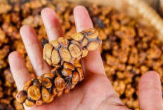 Selain Enak, Jenis Kopi Ini Memiliki Harga Termahal di Dunia