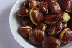 Katanya Konsumsi Jengkol dalam Jumlah Berlebihan Bisa Bikin Gagal Ginjal, Ini Faktanya