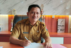 180 Hektare Sawit Tidak Produktif Diusulkan Program Replanting