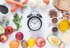 Gampang Gemuk Namun Ingin Kurus, Mungkin Diet Metode Intermittent Fasting Bisa Jadi Solusi