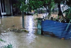 Diguyur Hujan Deras Semalaman, Kawasan Pasar KTM Sempat Dikepung Banjir