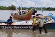 Pendapatan Nelayan Anjlok, Hasil Tangkapan Tak Lagi Menutup Biaya Operasional