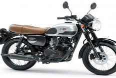 Hadir Membawa Perubahan Dari Sisi Teknologi Mesin & Fitur, Kawasaki W175 Street Bekasnya Dipasarkan 26 Jutaan
